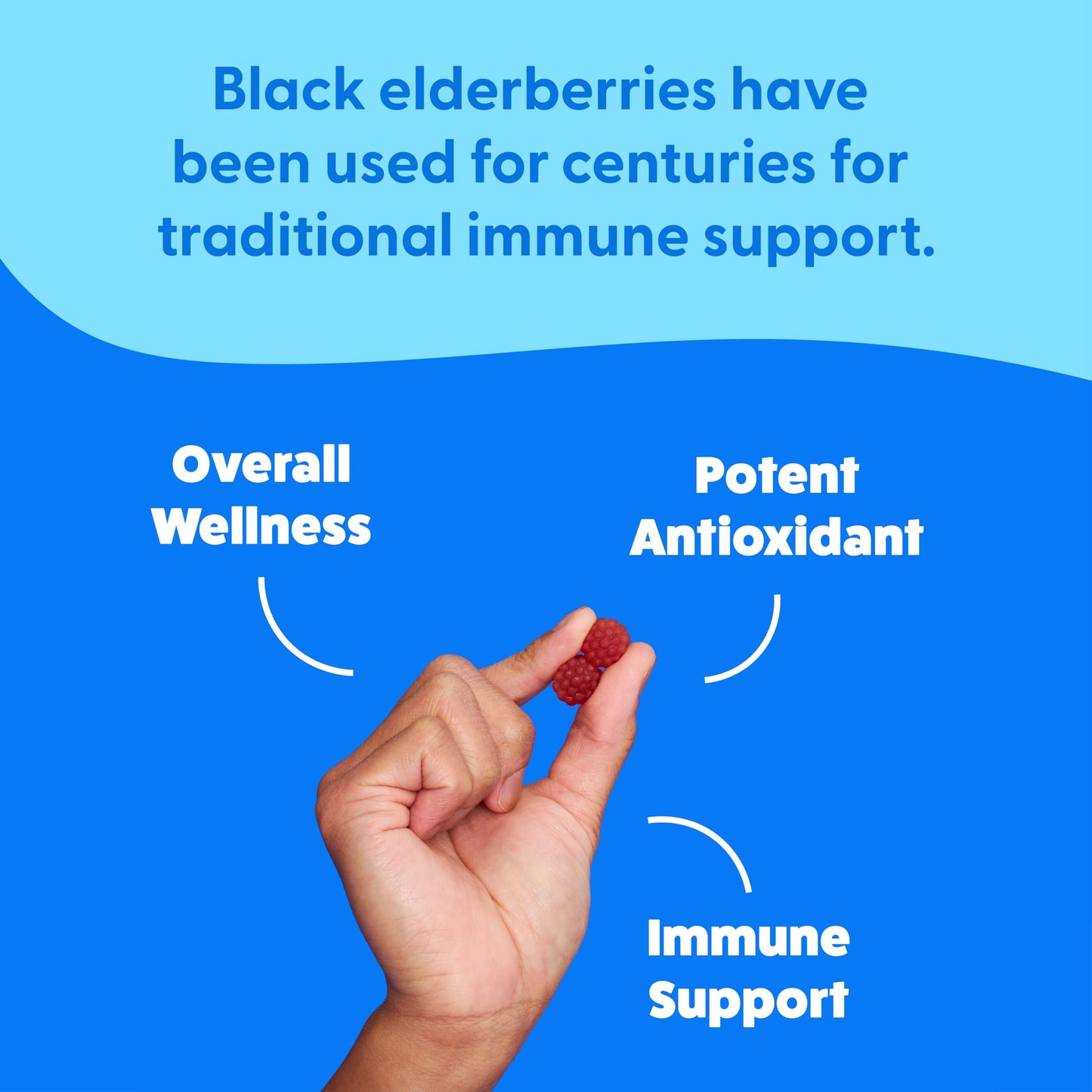 The Feel Great Vitamin Company Elderberry Gummies with Zinc & Vitamin C, Gummy, 90 Count