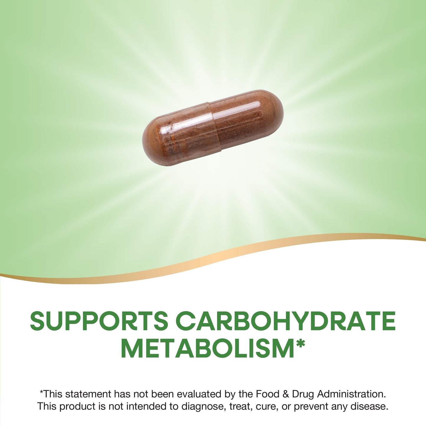 Nature's Way Cinnamon Premium Extract Capsules 240 Count