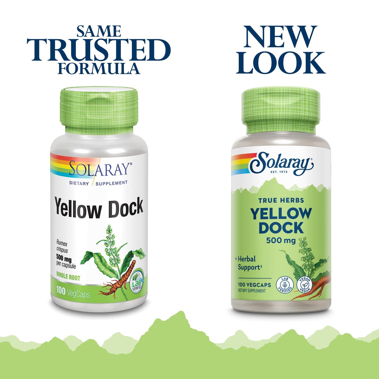 SOLARAY Yellow Dock Root 500mg Capsules, 100 Count