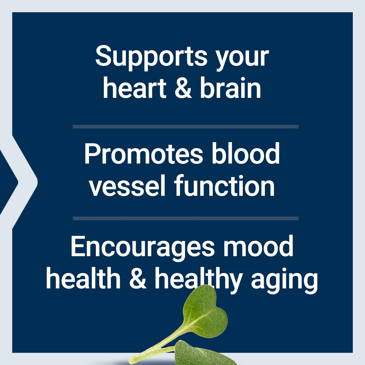 Life Extension Super Omega-3 EPA/DHA Fish Oil with Sesame Lignans & Olive Extract Softgels, 60 Count
