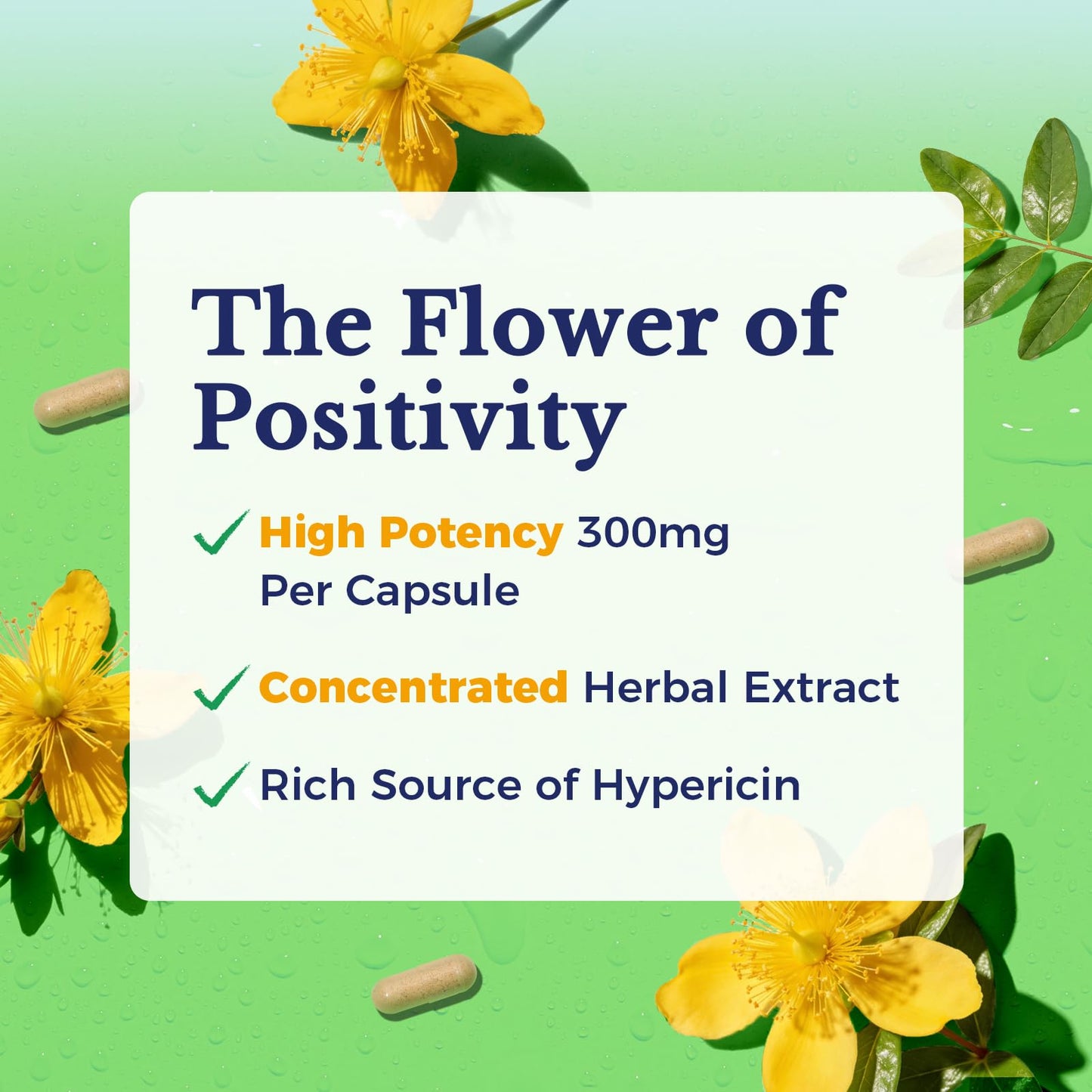 Vitalitown St. John's Wort 300mg Concentrated Herbal Extract Mood & Nerve Health Support Capsules 120