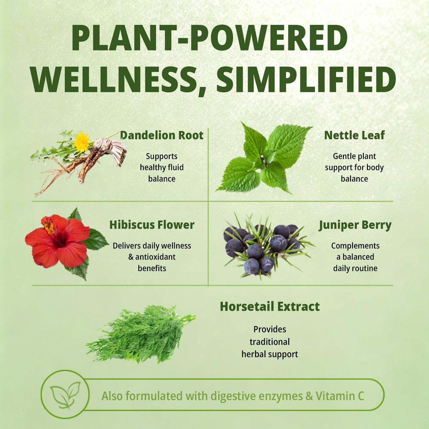Nature Aurora Debloat Powder for Digestive Health, 7