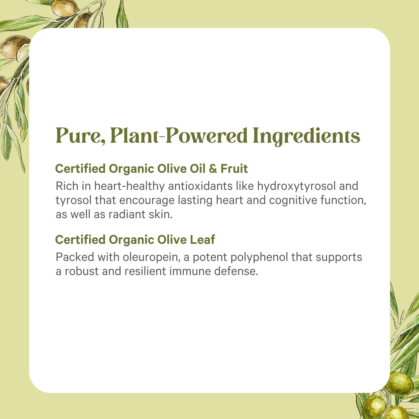 PURE SYNERGY SuperPure Olive Extract 60 Capsules