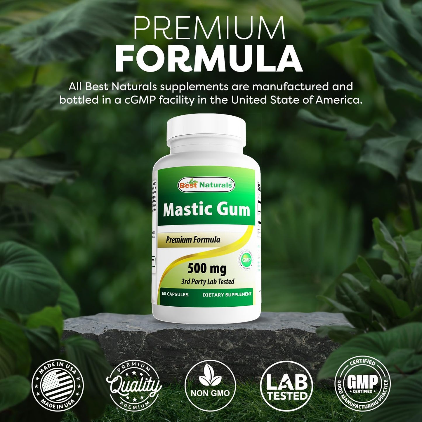 Best Naturals Mastic Gum 500 mg Capsules, 120 Count
