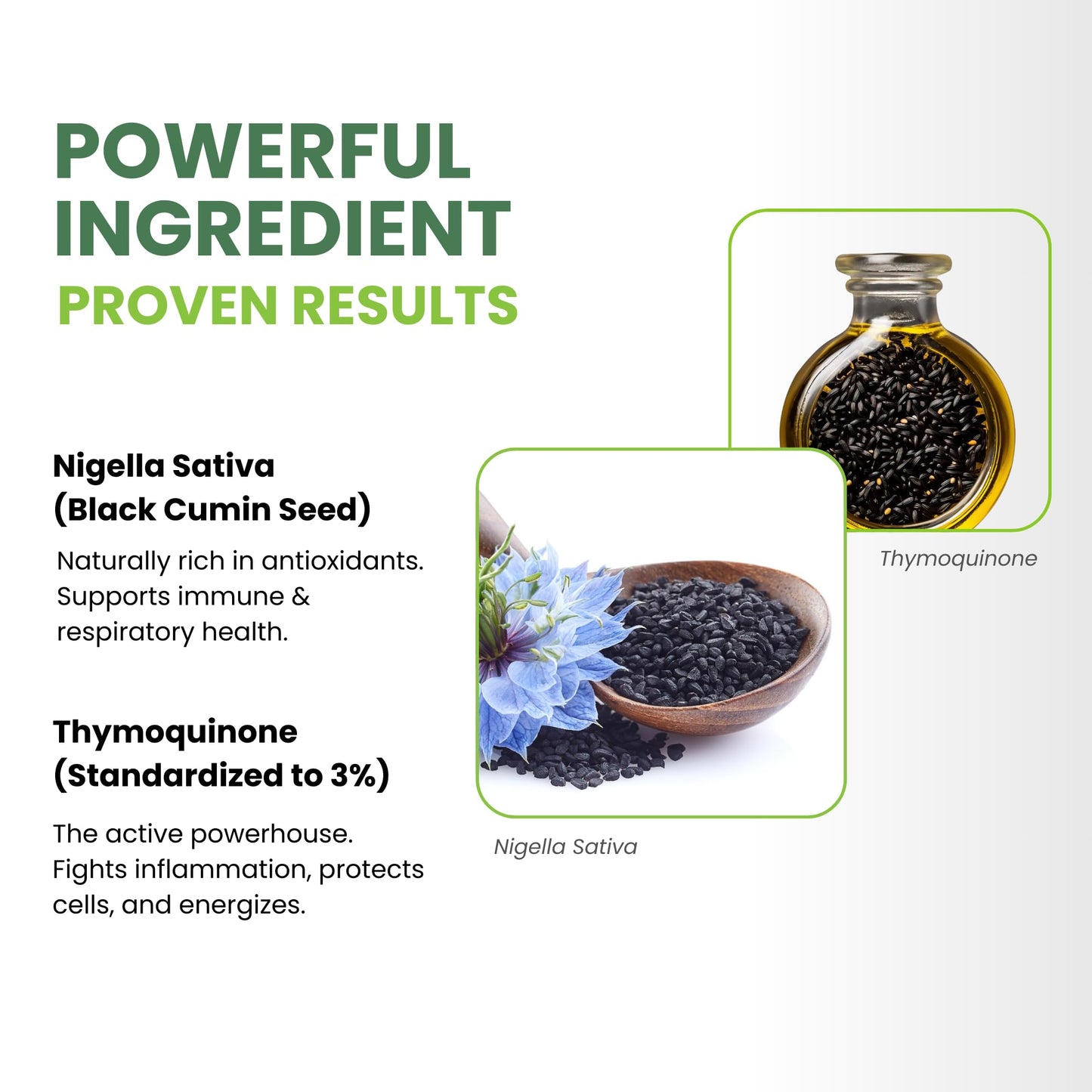 ThymoQuin Black Seed Oil Softgels 120 Count