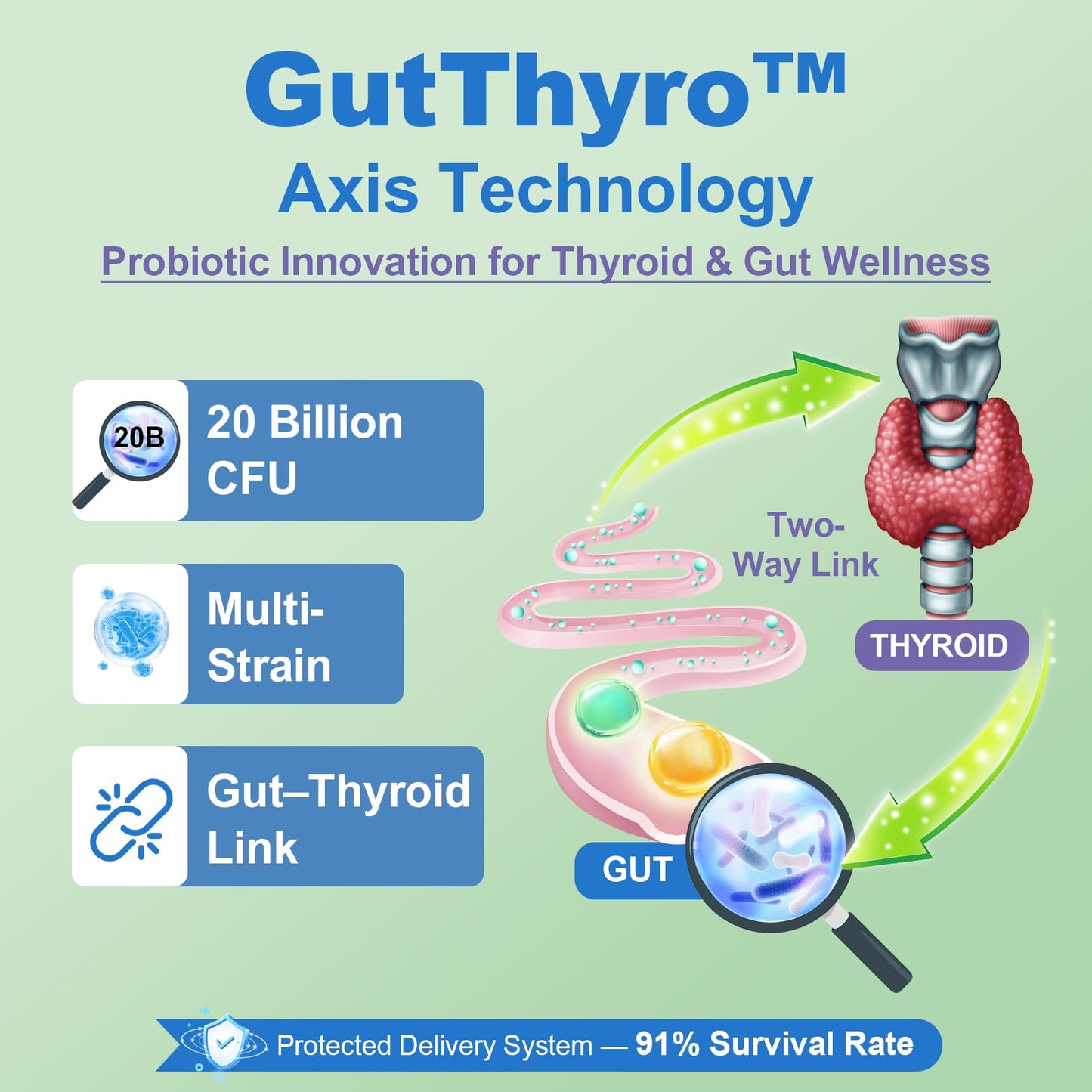 Quorinthiumax Thyroid Support Supplement for Women Capsules 240