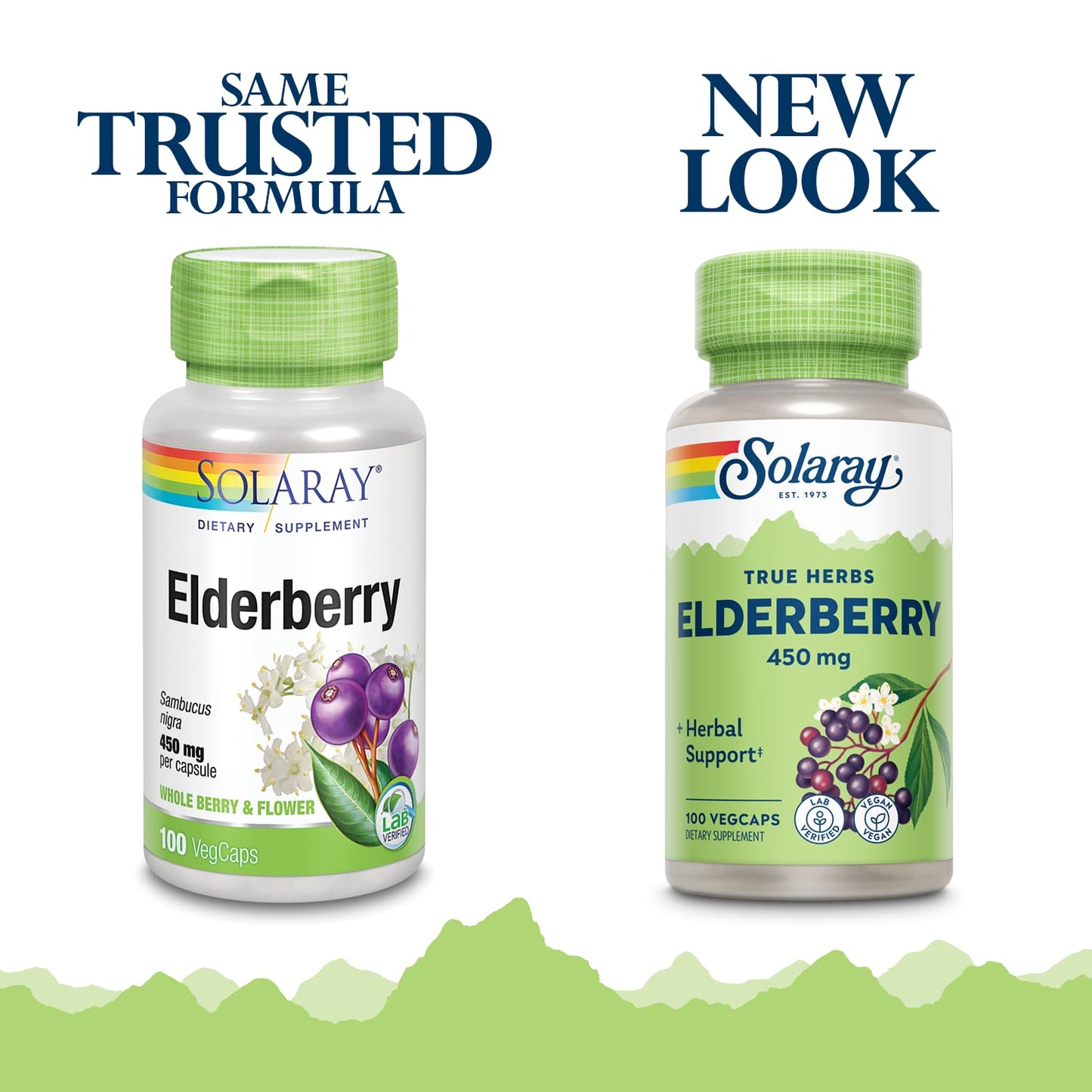 SOLARAY Elderberry Capsules 450mg, 100 Count