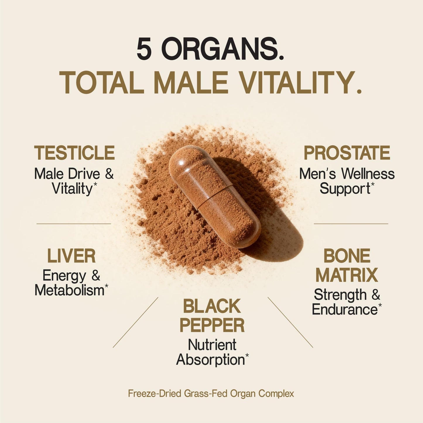 Primal Science Beef Organ Supplement for Men 100% Grass Fed Beef Testicle, Prostate, Liver & Bone Matrix High Absorption with Black Pepper Non-GMO, Hormone Free, Made in USA 90 Capsules