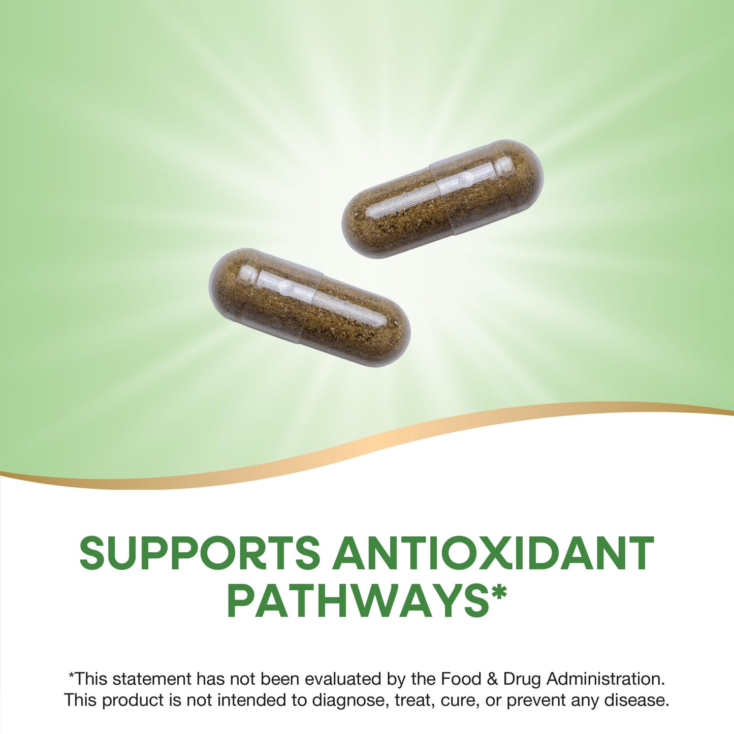 Nature's Way Moringa Capsule 120 Capsules