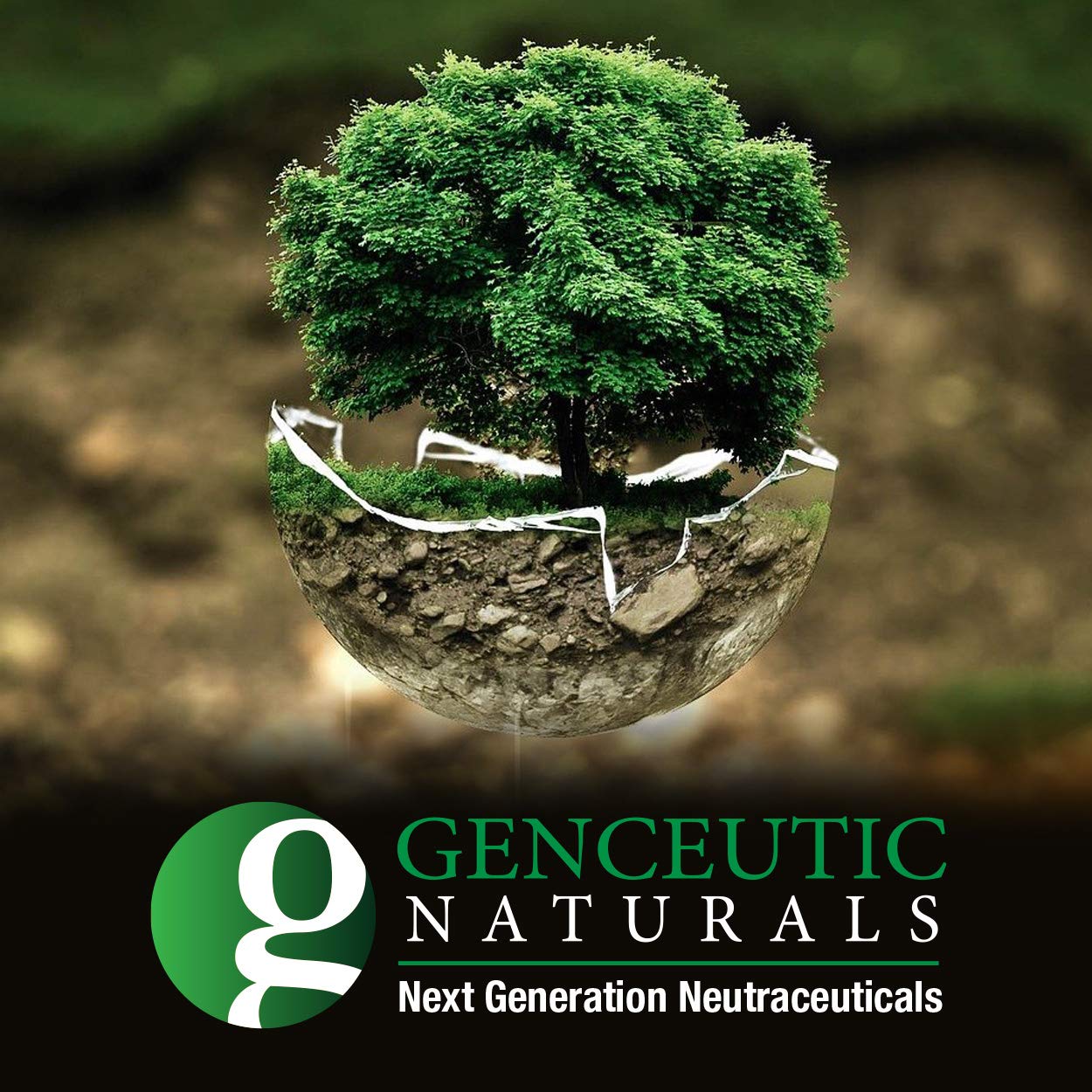 Genceutic Naturals Lion's Mane Organic Capsules 120 Count