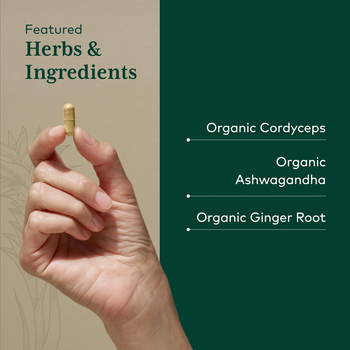 Gaia Herbs PRO Adaptogen Performance - Endurance & Energy Support with Cordyceps & Ashwagandha Extract, 120 Capsules