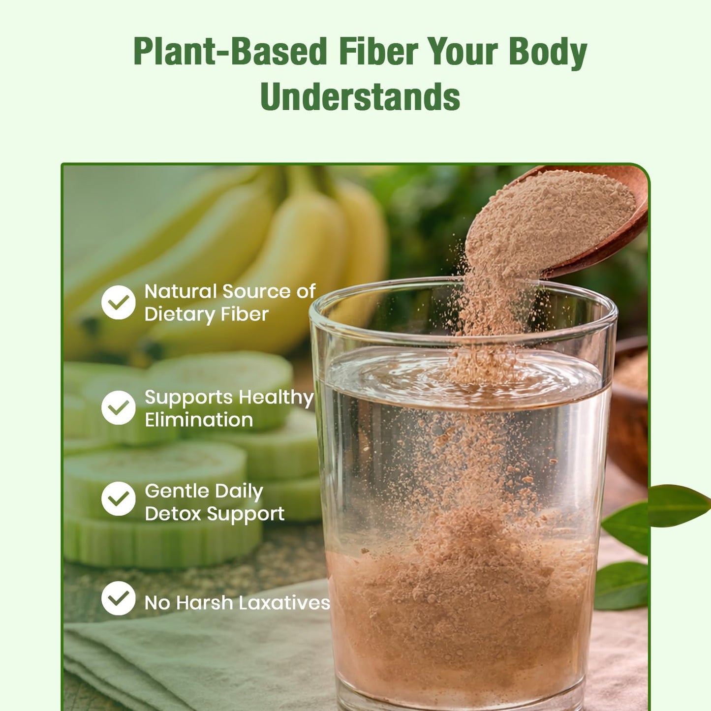 Foodherbs Banana Stem Powder 1 Count