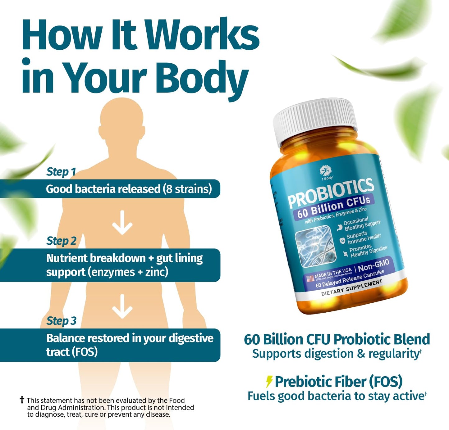 1 Body Probiotic 60 Billion with Prebiotics & Enzymes, 60 Capsules