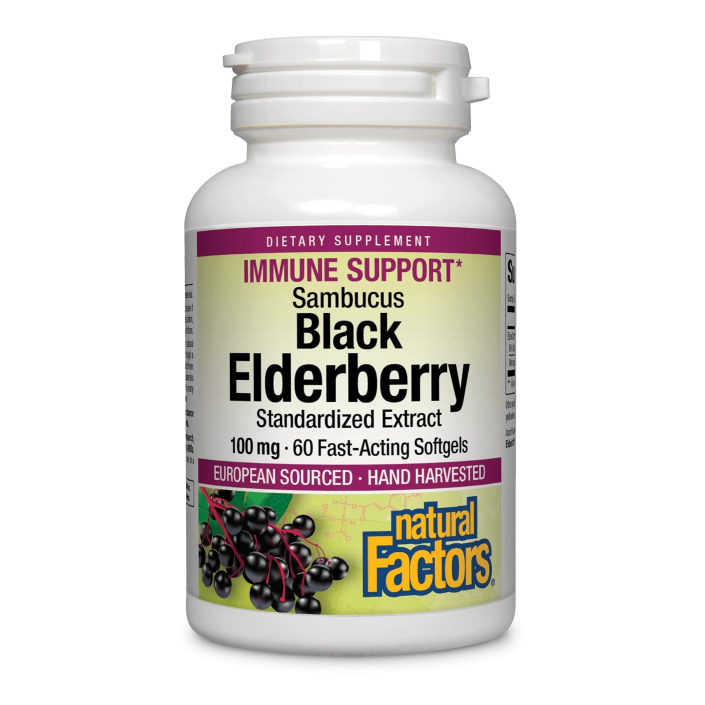 Natural Factors Sambucus Black Elderberry Standardized Extract Softgels 60