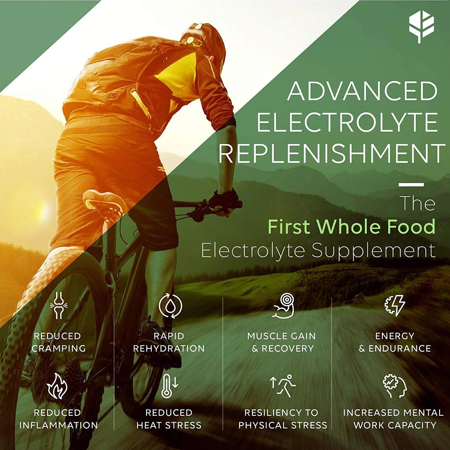 Primitive Scientific Whole Food Electrolyte Capsules - Advanced Hydration Supplement with Magnesium, Potassium & Calcium, 120 Capsules