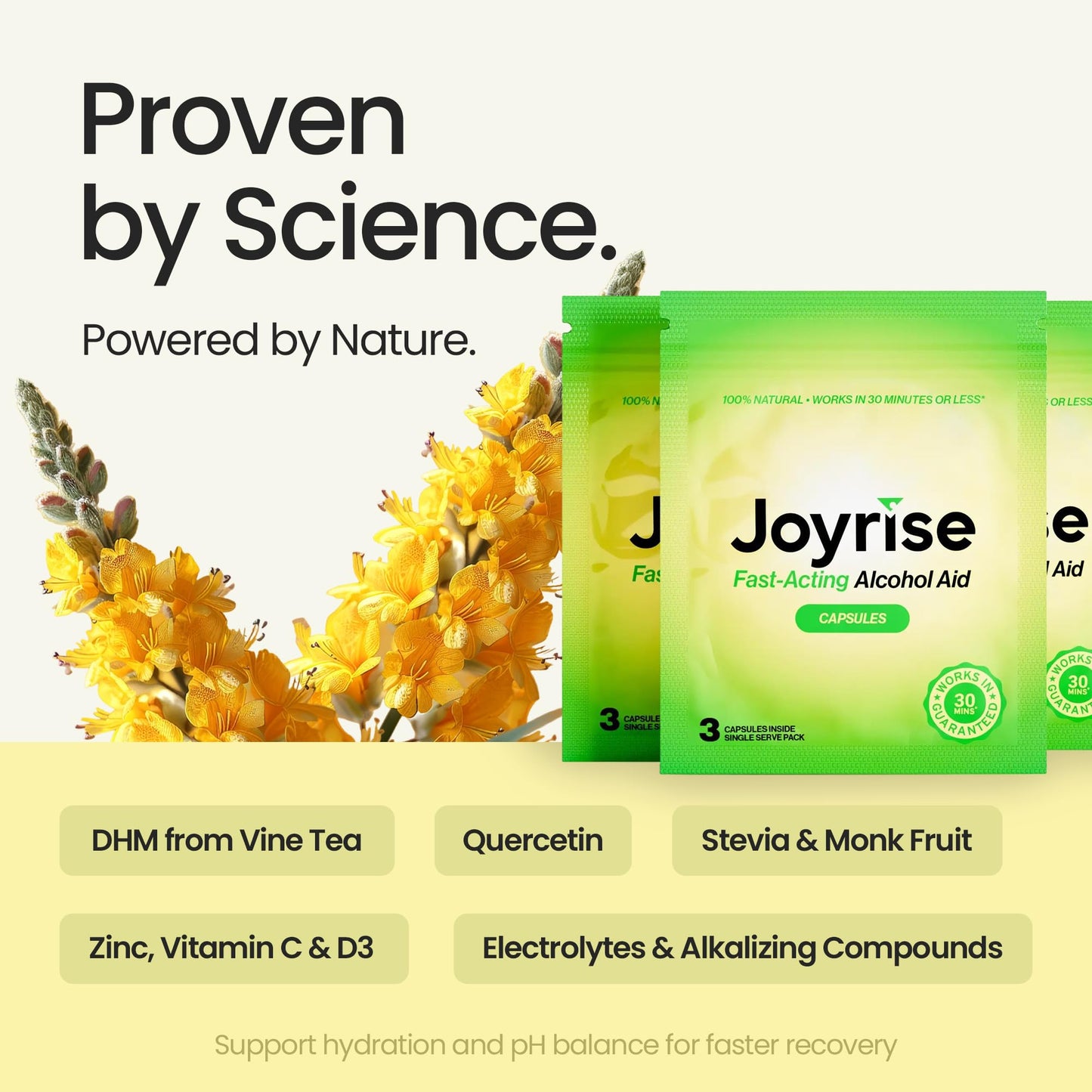 Joyrise Post Drinking Aid Capsule, 3 Pack