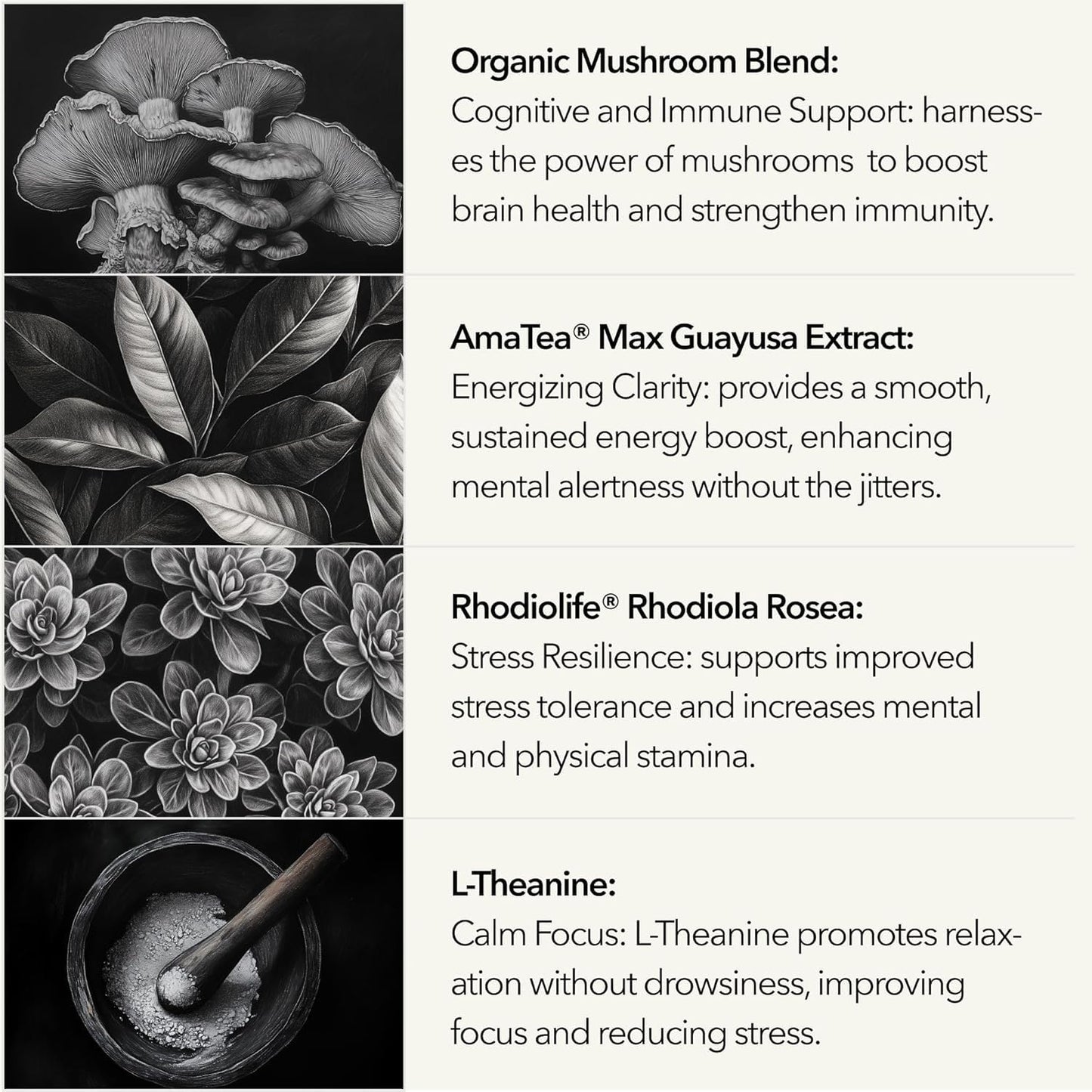 Mobisyn Organic Mushroom Supplement Cognitive Nootropic for the Brain Capsules, 180 Count