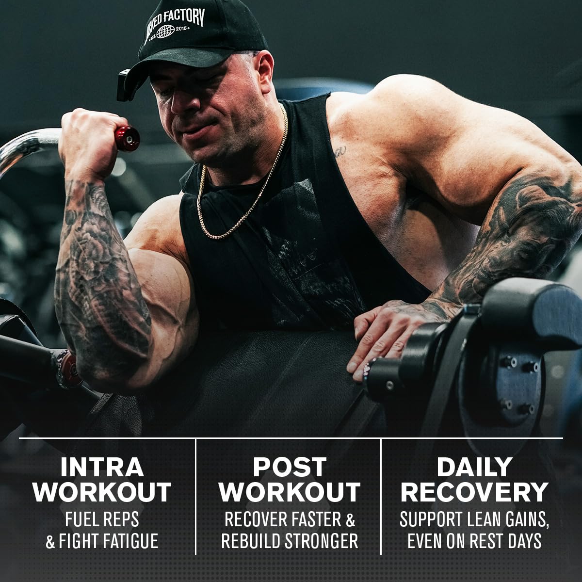 Jacked Factory Creatine Monohydrate + BCAAs Powder, 30 Servings