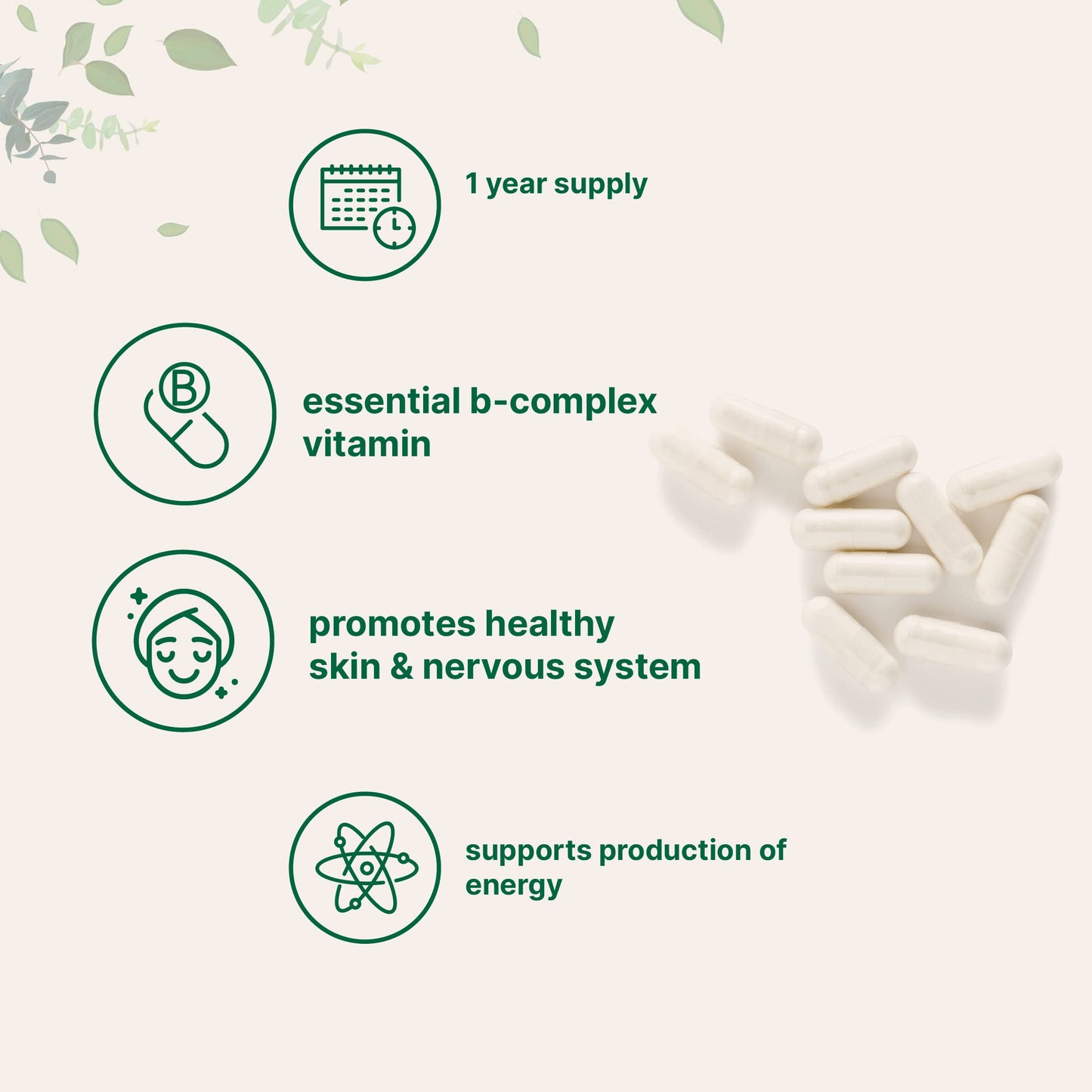 Micro Ingredients Pantothenic Acid Vitamin B5 Supplement Capsules, 365 Count