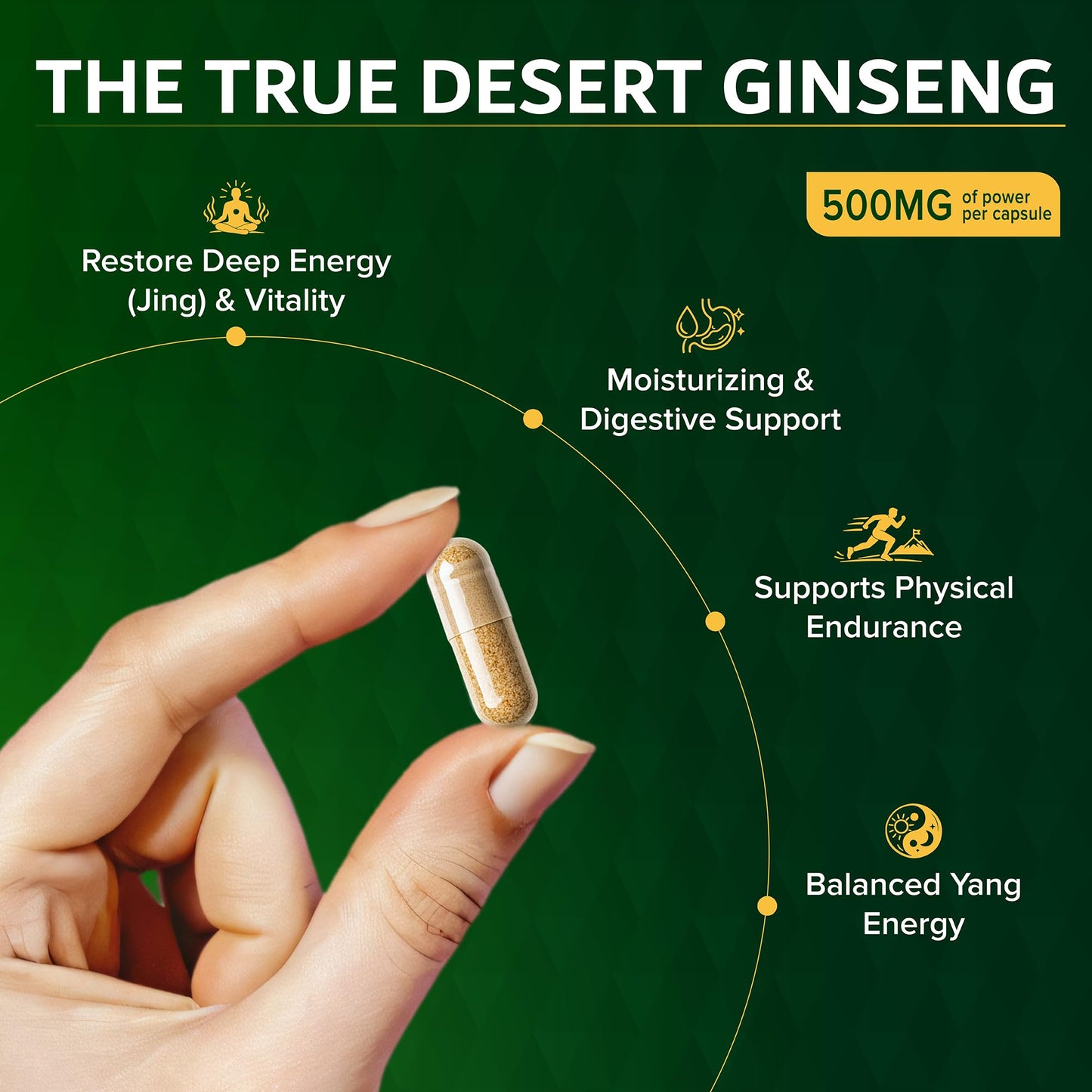 Dimmak Herbs Cistanche Deserticola 5:1 Extract Capsules 100 Count
