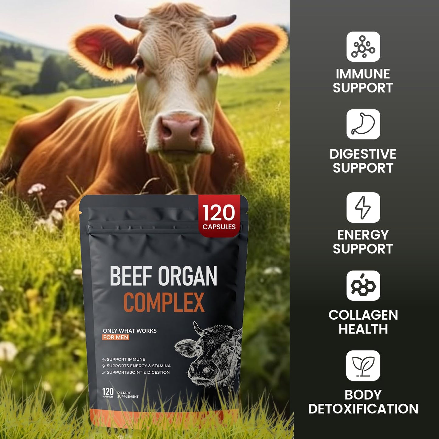 MORANDEE Forgebody Beef Organ Complex Supplement 1 Capsule