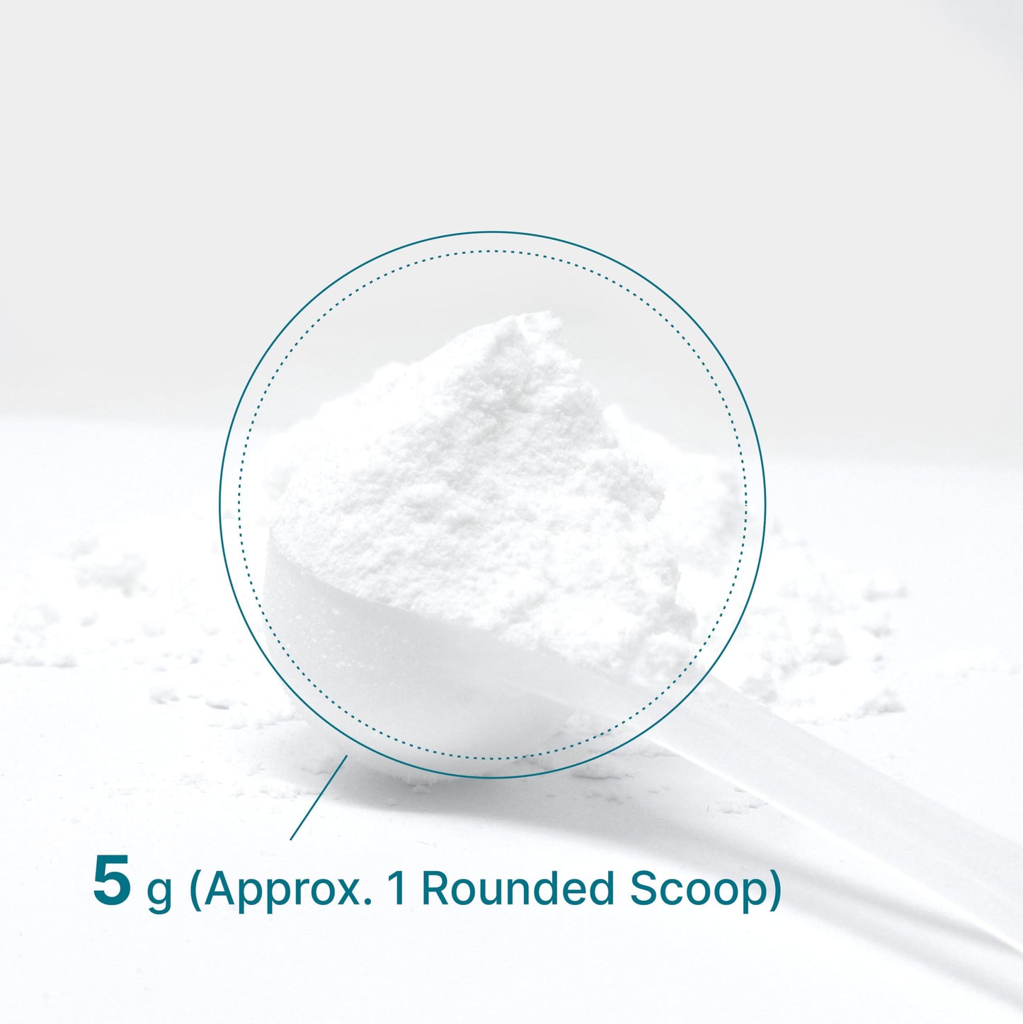 DEAL SUPPLEMENT Micronized Creatine Monohydrate Powder 21.2 oz