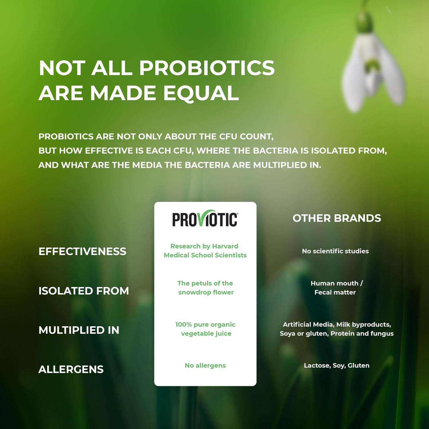 PROVIOTIC Vegan Probiotic Supplement Capsules 30 Count
