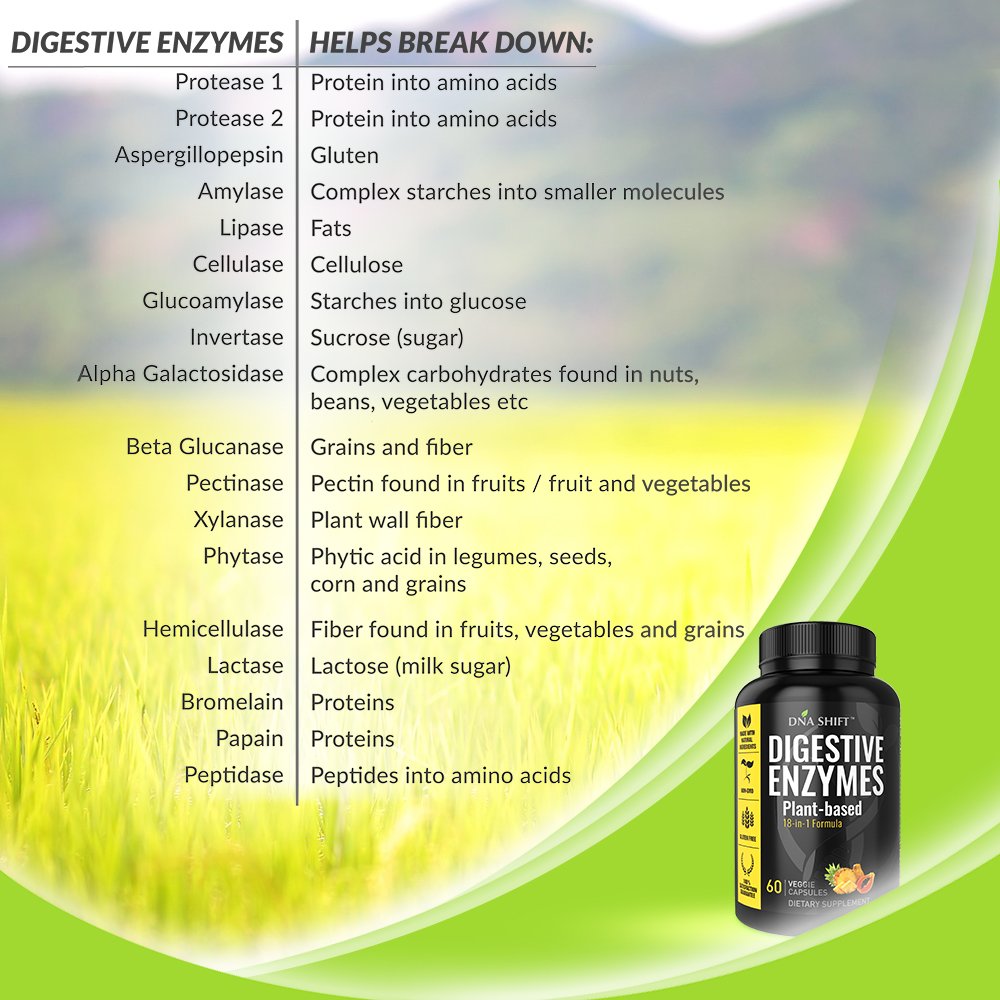 DNA SHIFT Ultra Digestive Enzymes Capsules 60 Count