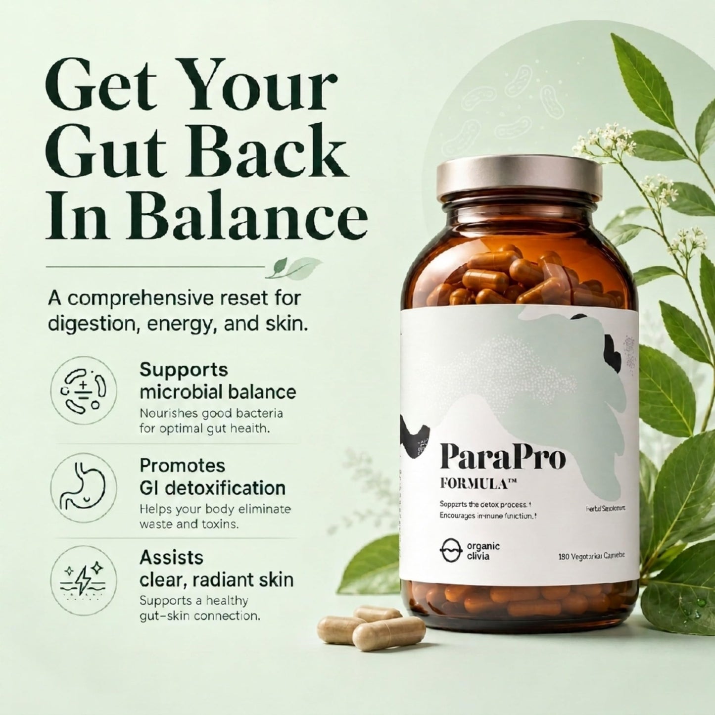 Organic Olivia ParaPro Capsule 180