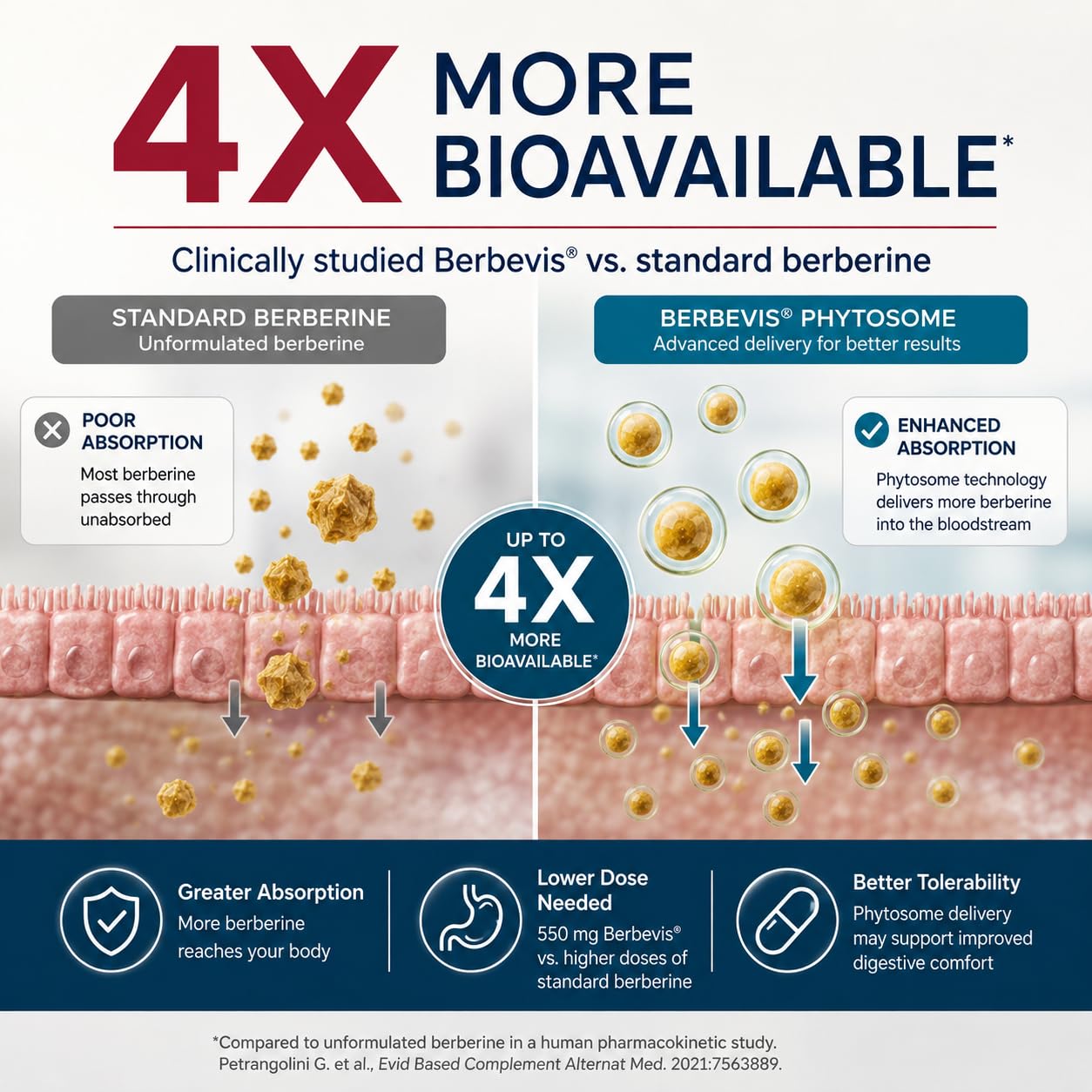 Natural BioScience Berberine Phytosome Complex with Berbevis, 550mg Enhanced Absorption Berberine Supplement for Metabolic Support & Heart Health, Highly Bioavailable, Gluten-Free, Non-GMO, 60 Capsules
