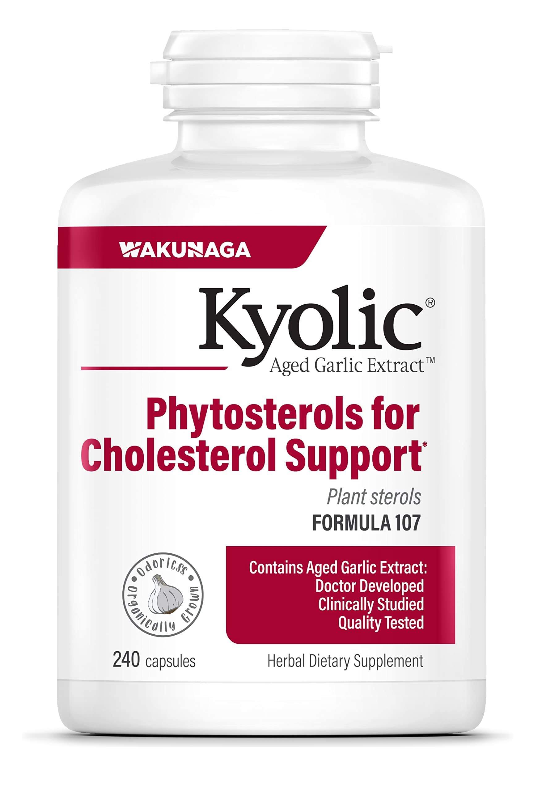 Kyolic Aged Garlic Extract Formula 107 Capsule, 240 Capsules