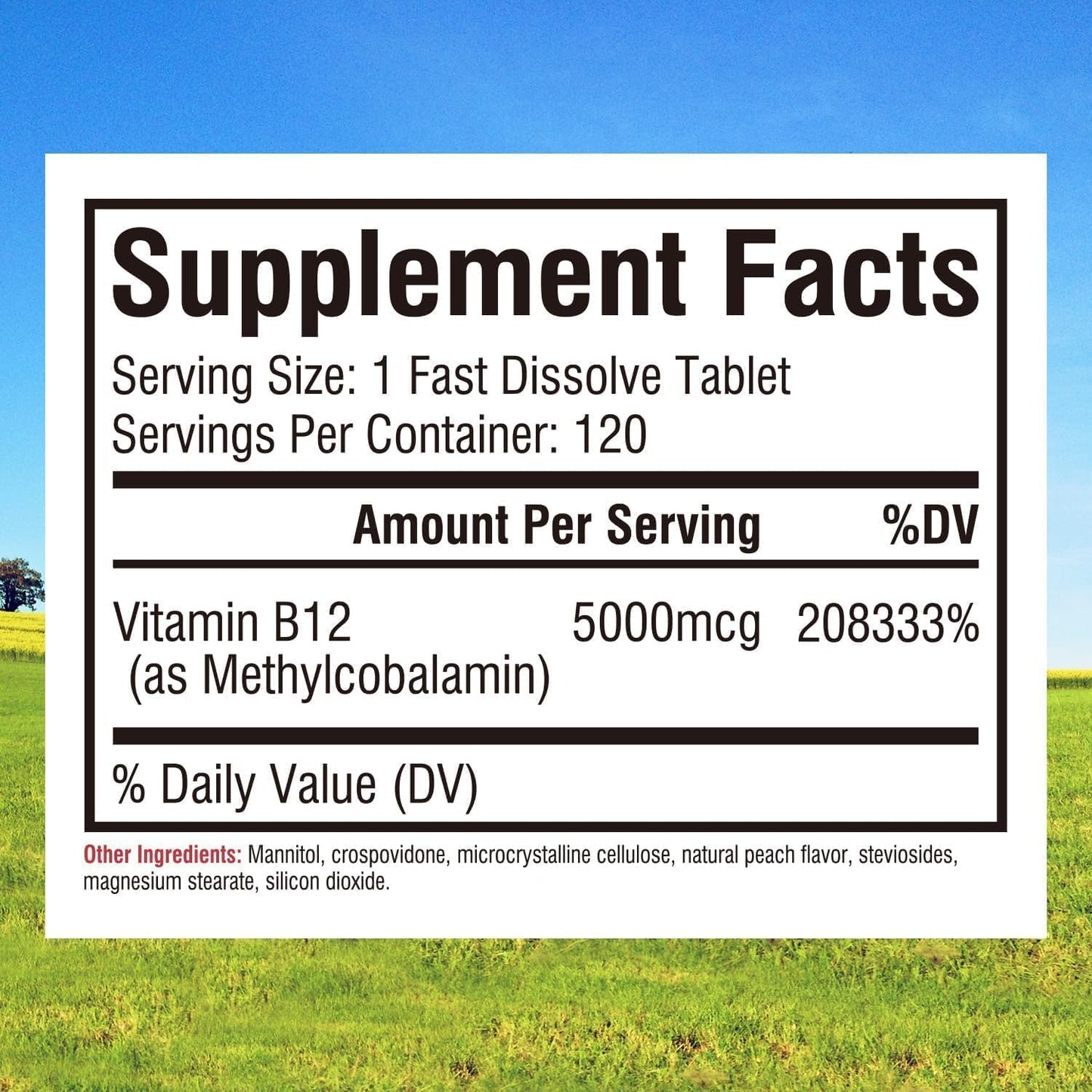 Innate Vitality Vitamin B12 5000mcg Methylcobalamin Vegan Tablet, 120 Count