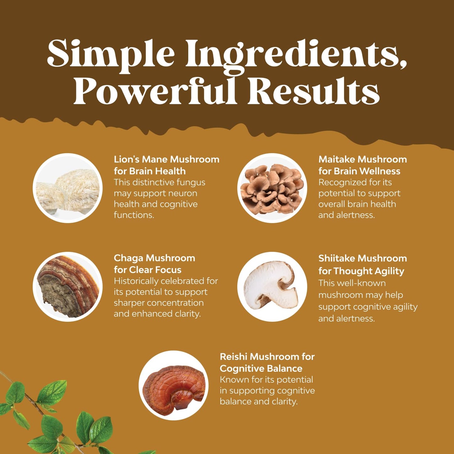 Natures Craft Lion's Mane Mushroom Supplement Capsules, 60 Capsules