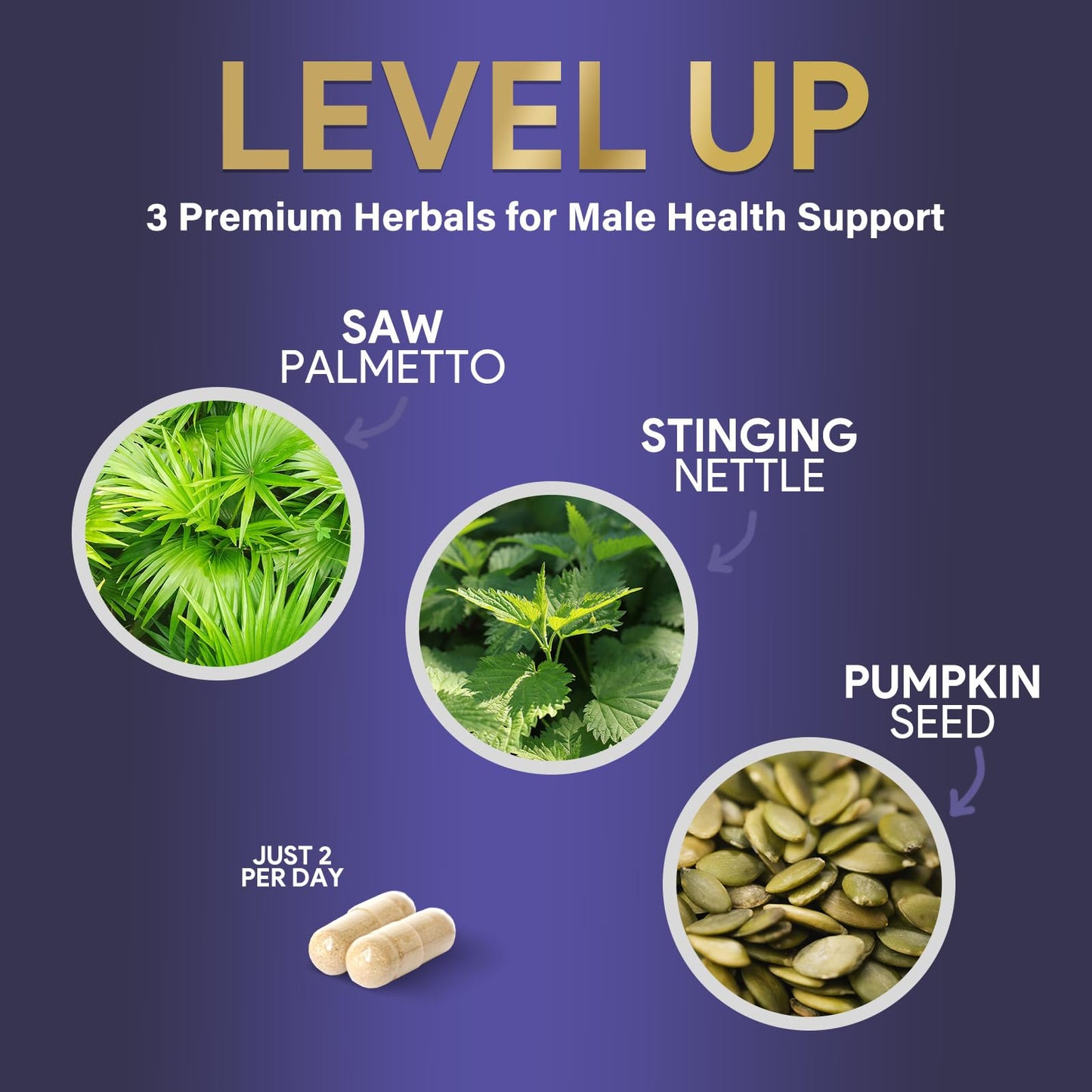 Nature's Nutrition Prostate Health Supplements for Men - Saw Palmetto Blend with Nettle & Pumpkin Seed - Capsules, 120 Count