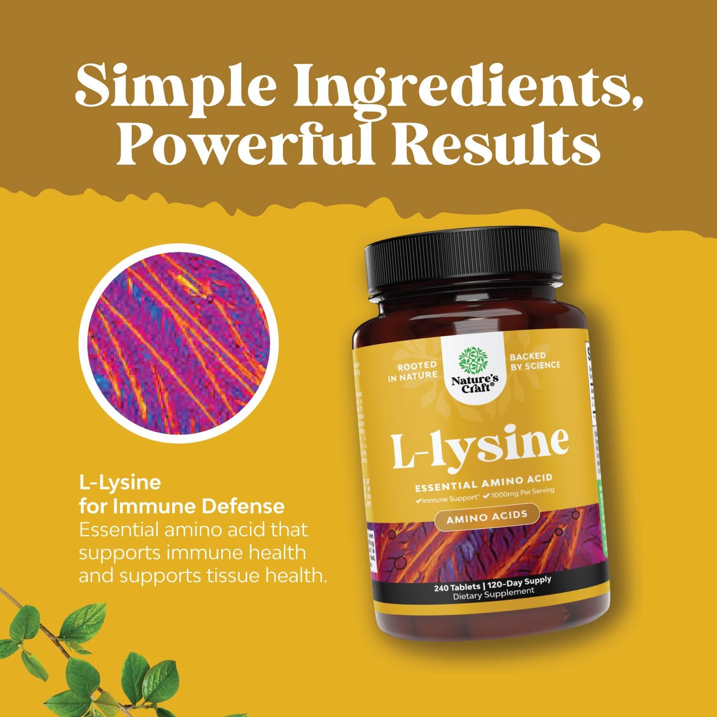 Natures Craft L Lysine 1000mg Tablet, 240 Count