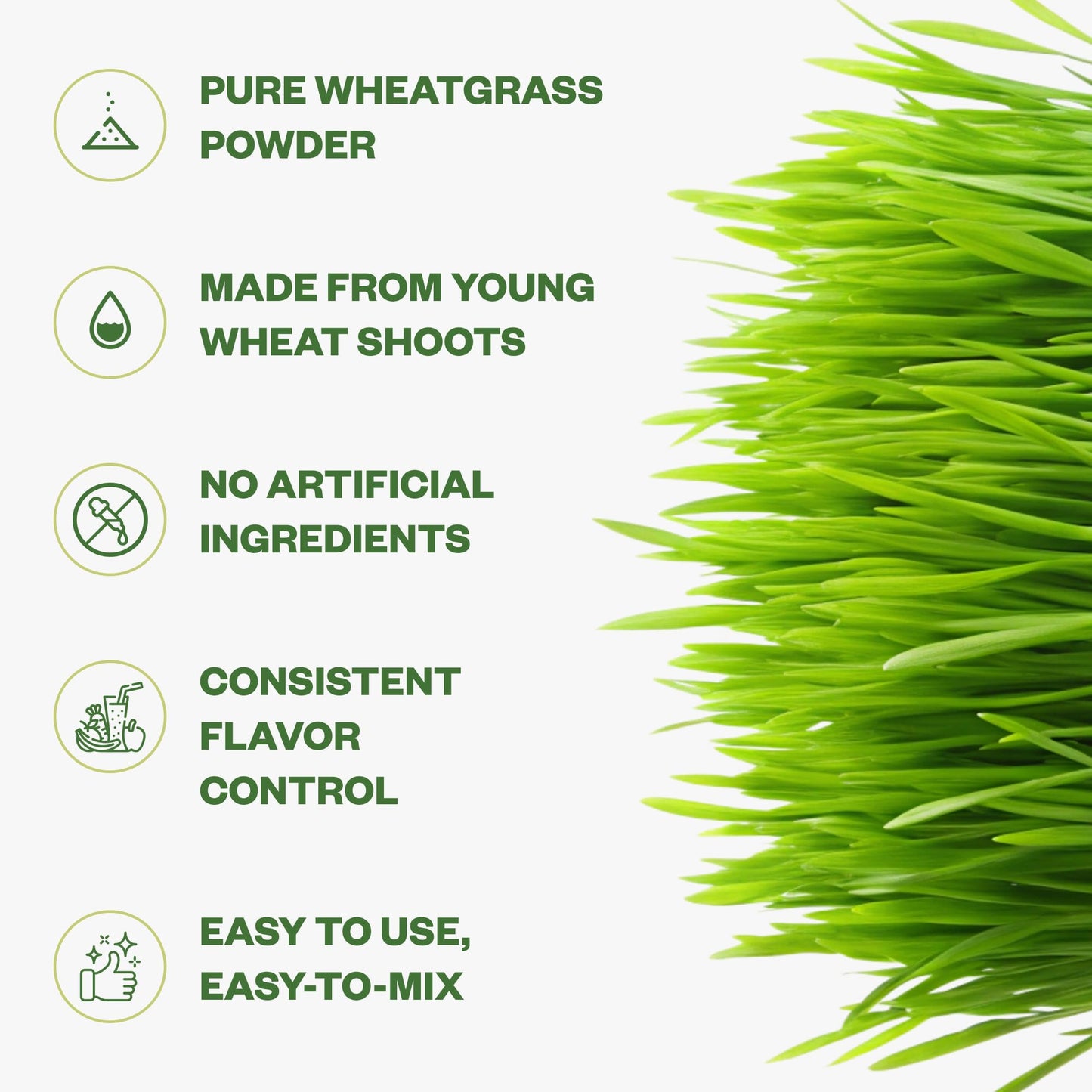 Purisure Wheatgrass Powder 5.3 Ounce