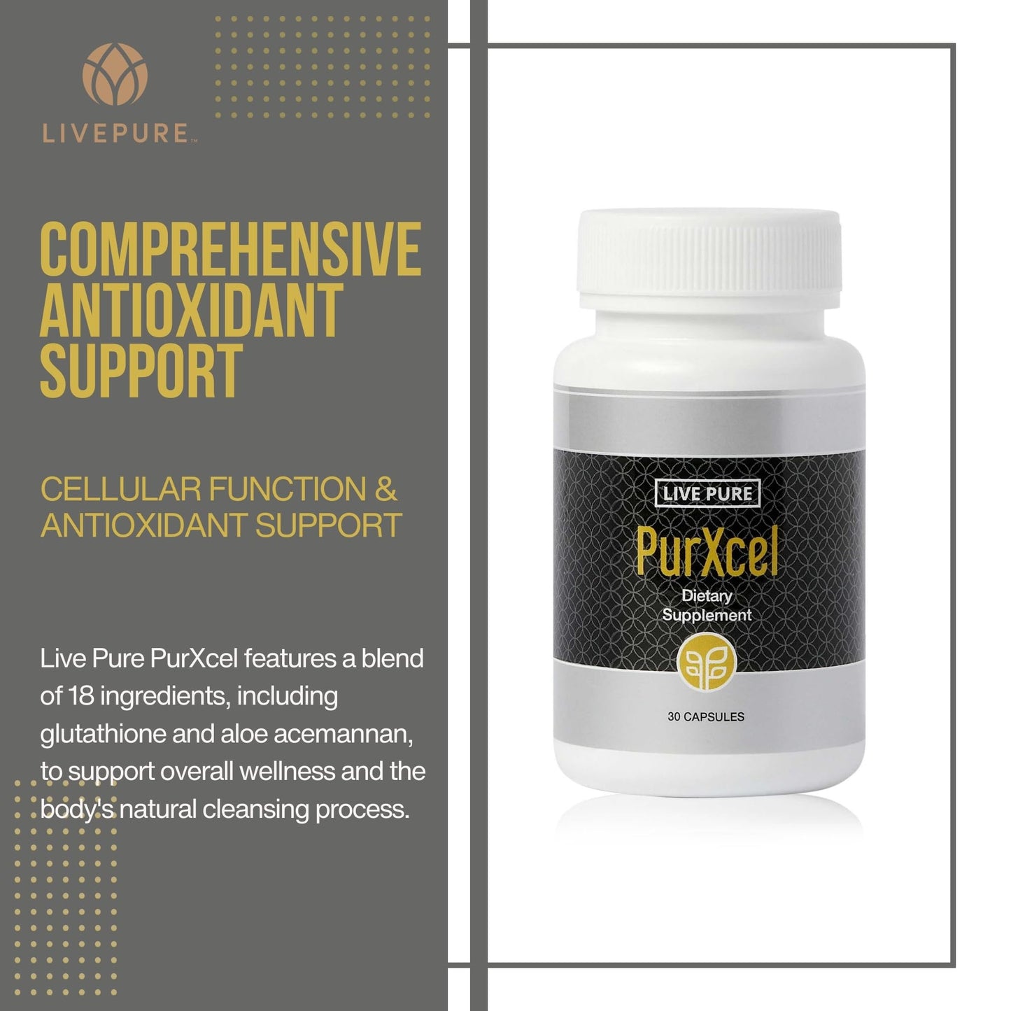 PURE PurXcel Antioxidant Supplement Capsule 30 Count