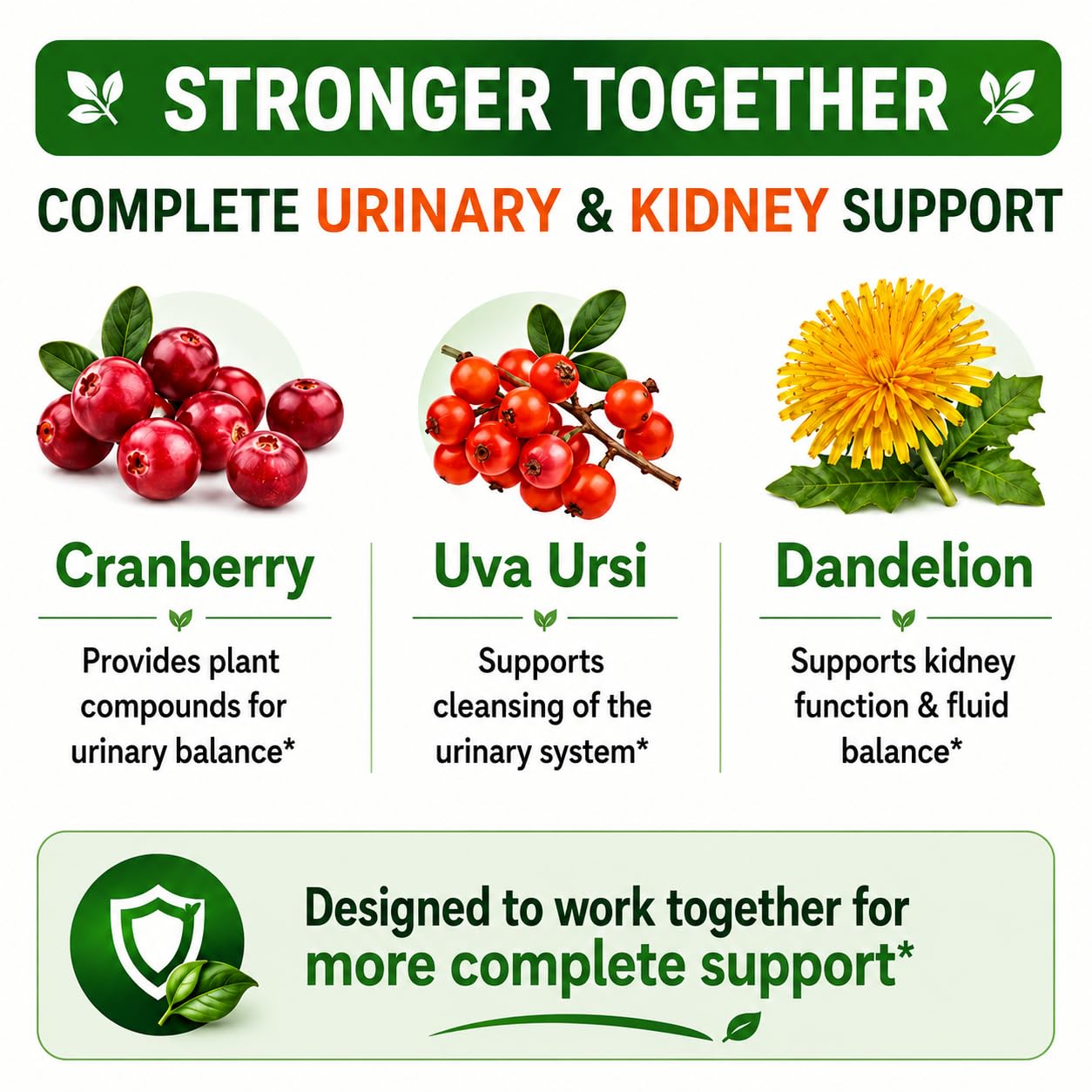 HCL Herbal Code Labs Cranberry Extract Capsules 50:1 Whole Fruit Concentrate with Dandelion & Uva Ursi Urinary Tract Support, 60 Capsules
