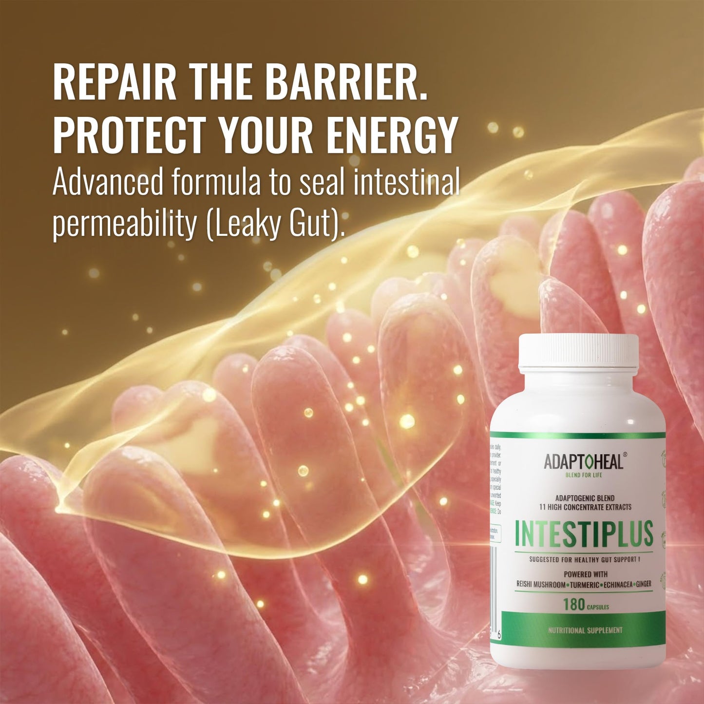 ADAPTOHEAL Intestinal Support 180 Capsules