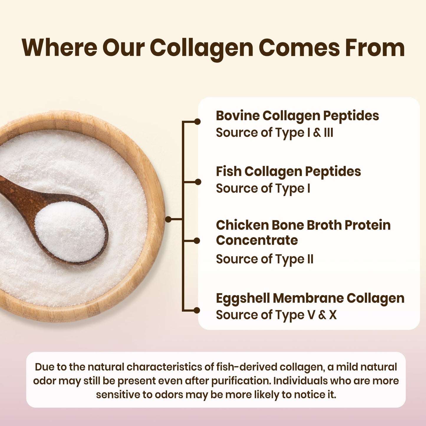 VEV Multi Collagen Peptides Powder 16 oz