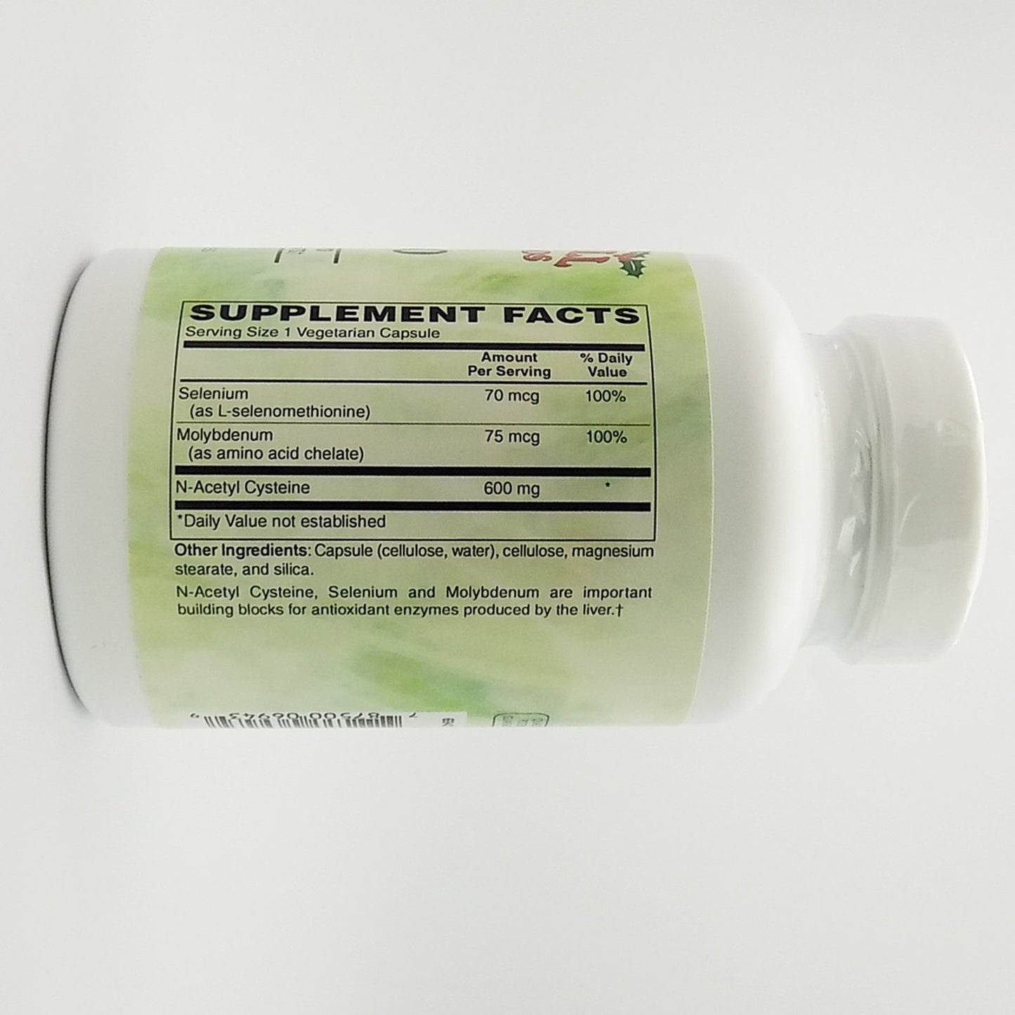 Holly Hill Health Foods NAC 600 (N-Acetyl Cysteine) Capsules, 120 Count