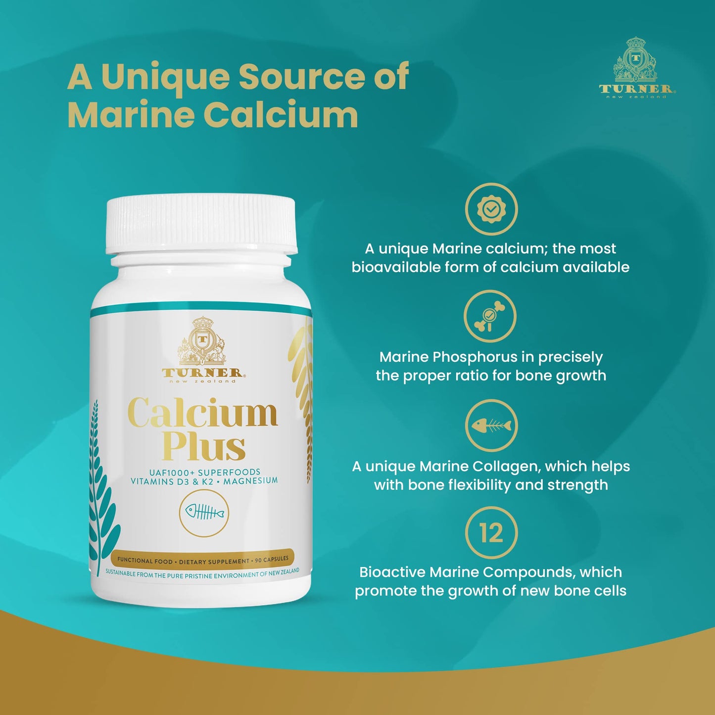TURNER Calcium Plus Capsule, All-Natural Marine Calcium Supplement with Magnesium + Vitamins K2 & D3, Supports Bone Density & Joint Health, 90 Capsules