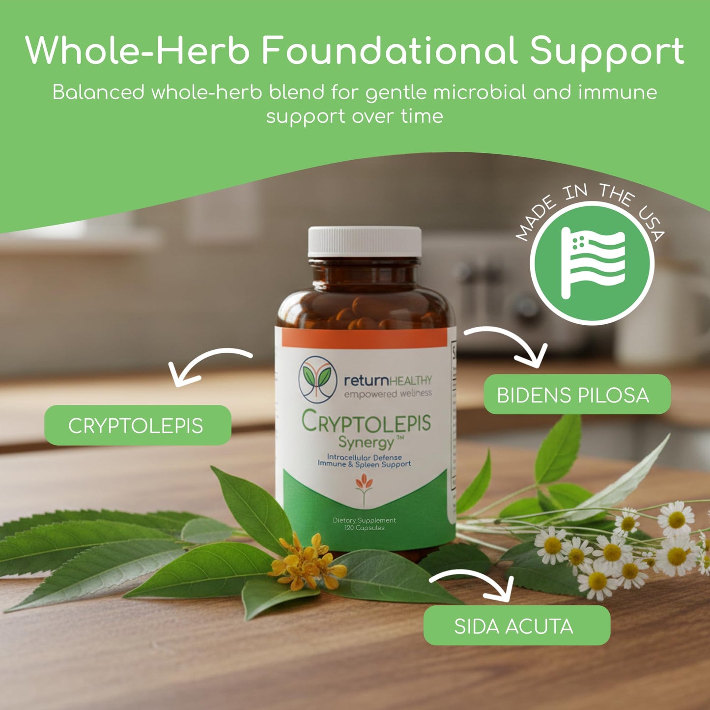 Return Healthy Cryptolepis Synergy Capsules, 360 Count