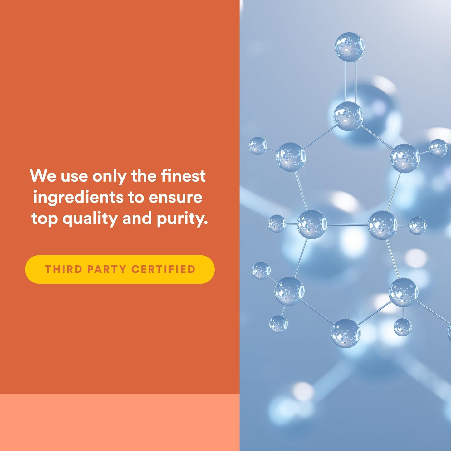 Natural Factors Celadrin Joint Health Softgels 180