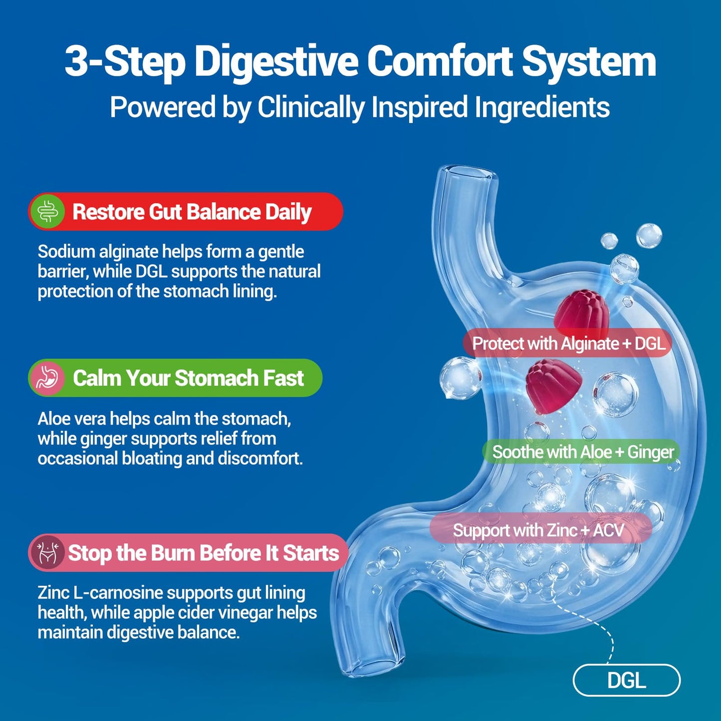 IIEltruiom DGL with Zinc Carnosine & Aloe Vera for Digestive Support, Vegan Gummies, 60 count