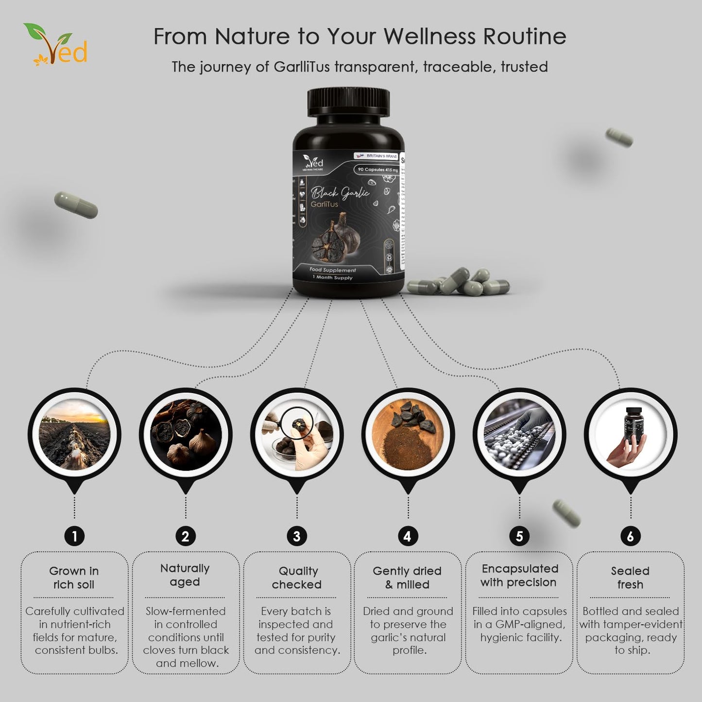 Ved GarliTus Fermented & Odorless Black Garlic Supplement, Capsule, 90 Count