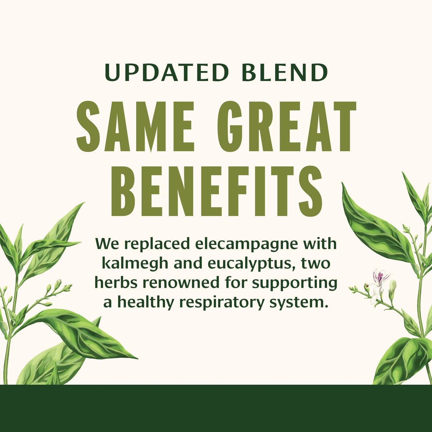 Banyan Botanicals Lung Formula, 90 Tablets