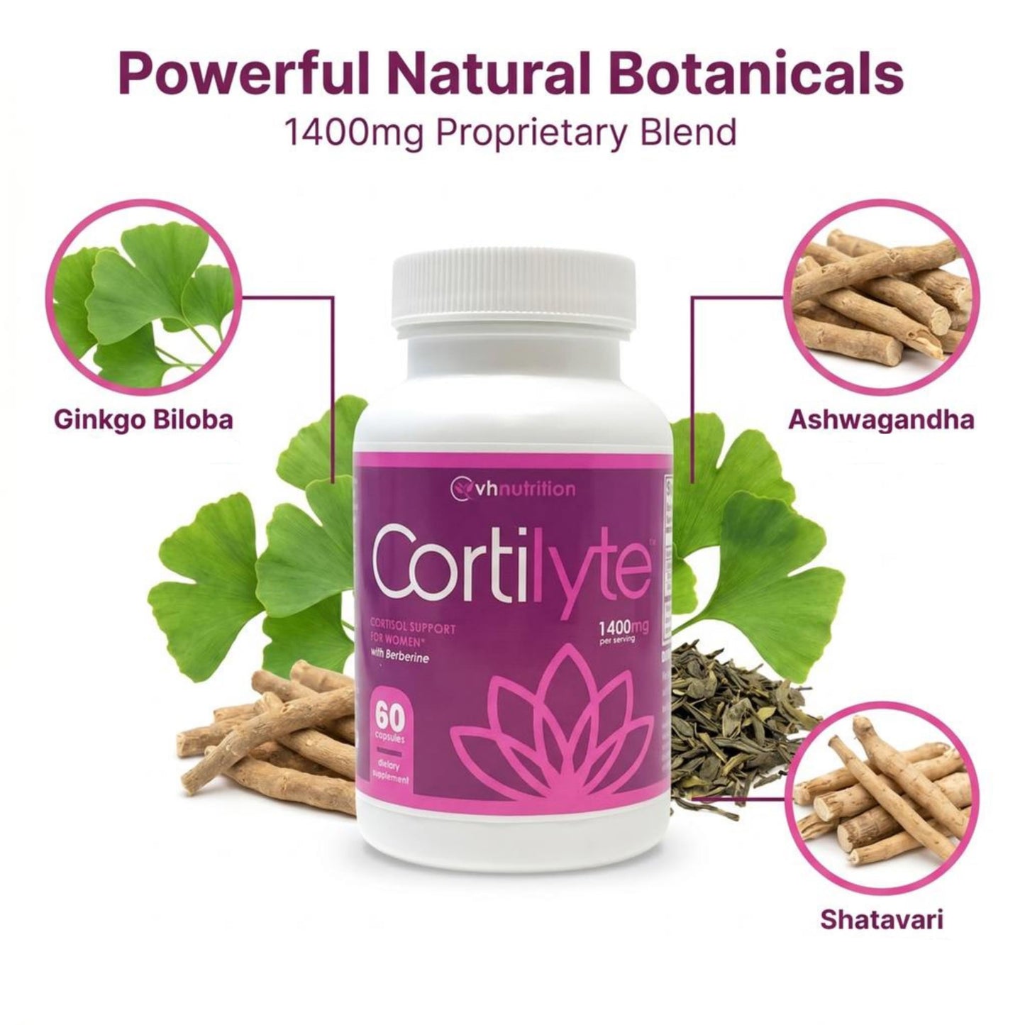 VH Nutrition CortiLyte with Ginkgo Biloba Capsules 60 Count