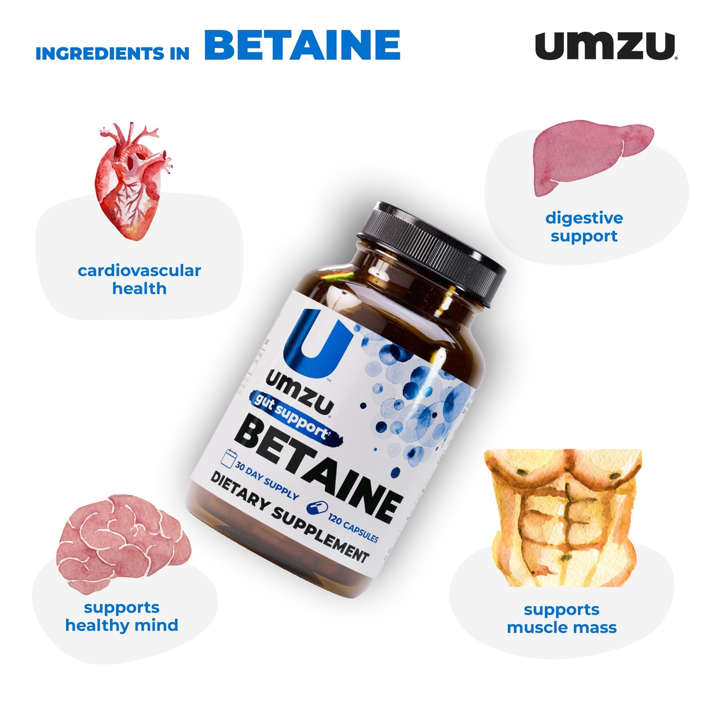 UMZU Betaine HCl Supplement Capsules, 120 Count