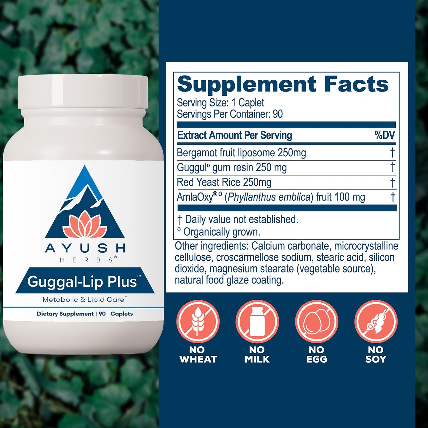 Ayush Herbs Guggal-Lip Plus 90 Tablets